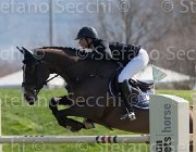 De Simone Camille TosTour2013- S5 2112 : Arezzo, Arezzo Equestrian Centre, Camille, De Simone Rossella, Toscana Tour 2013, foto di Stefano Secchi ©